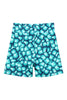 JOHNNY Swim Shorts in New Retro Print